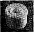 密封件實物(圖 6)