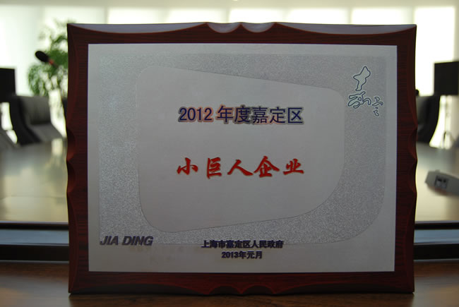 2012年度嘉定區(qū)小巨人企業(yè) 獎(jiǎng)牌