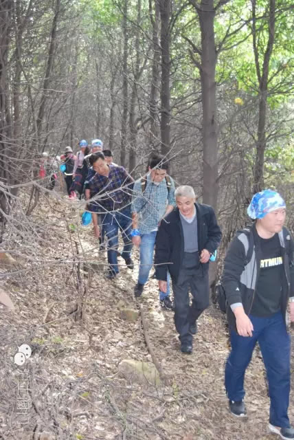 上海滬工閥門廠2016年秋季徒步毅行活動(dòng) 圖12