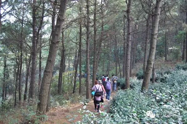 上海滬工閥門廠2016年秋季徒步毅行活動(dòng) 圖24