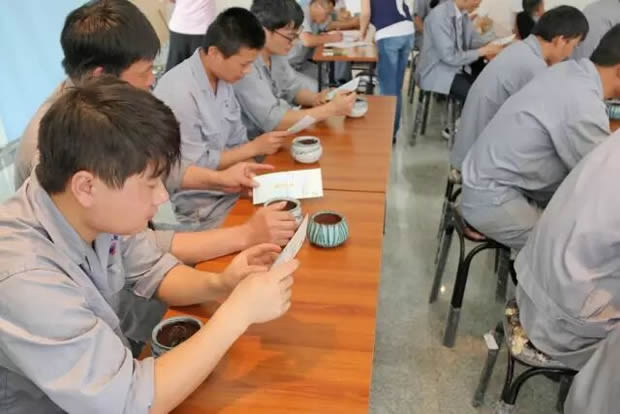 華亭鎮團委聯合上海滬工閥門廠開展微景觀綠植DIY活動(圖3)