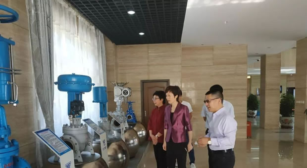 上海市嘉定區(qū)委常委、副區(qū)長董依雯參觀公司展示廳